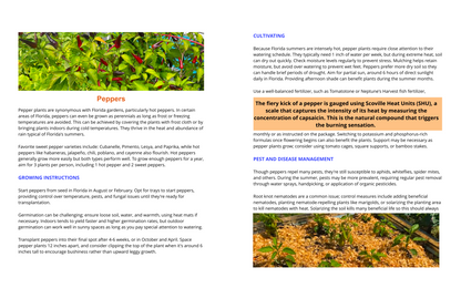 Two page preview from a gardening book showing the pepper section with photos of red peppers and headings for growing instructions, cultivation, and pest and disease management