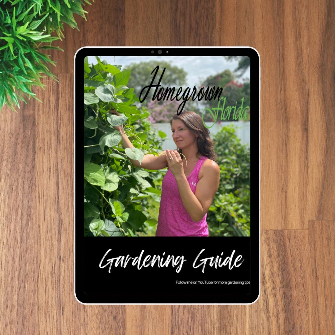 Ipad on a wooden table with an image of a gardener standing next to a large trellised green cowpea plant in a backyard garden