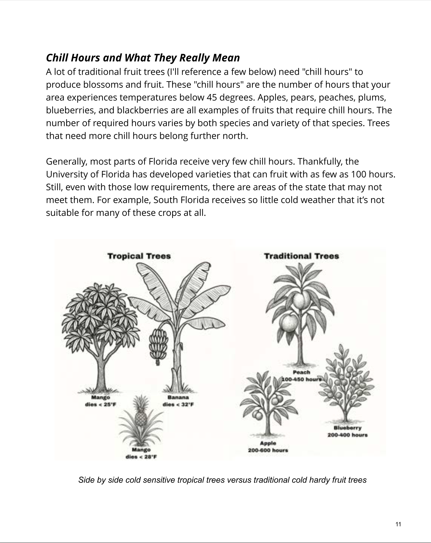 The Florida Fruit Garden - eBook