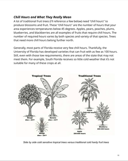 The Florida Fruit Garden - eBook