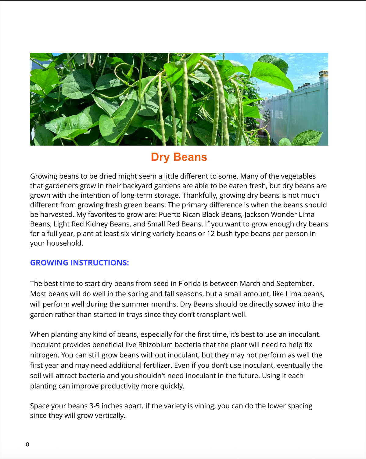 Homegrown Florida Gardening Guide - eBook
