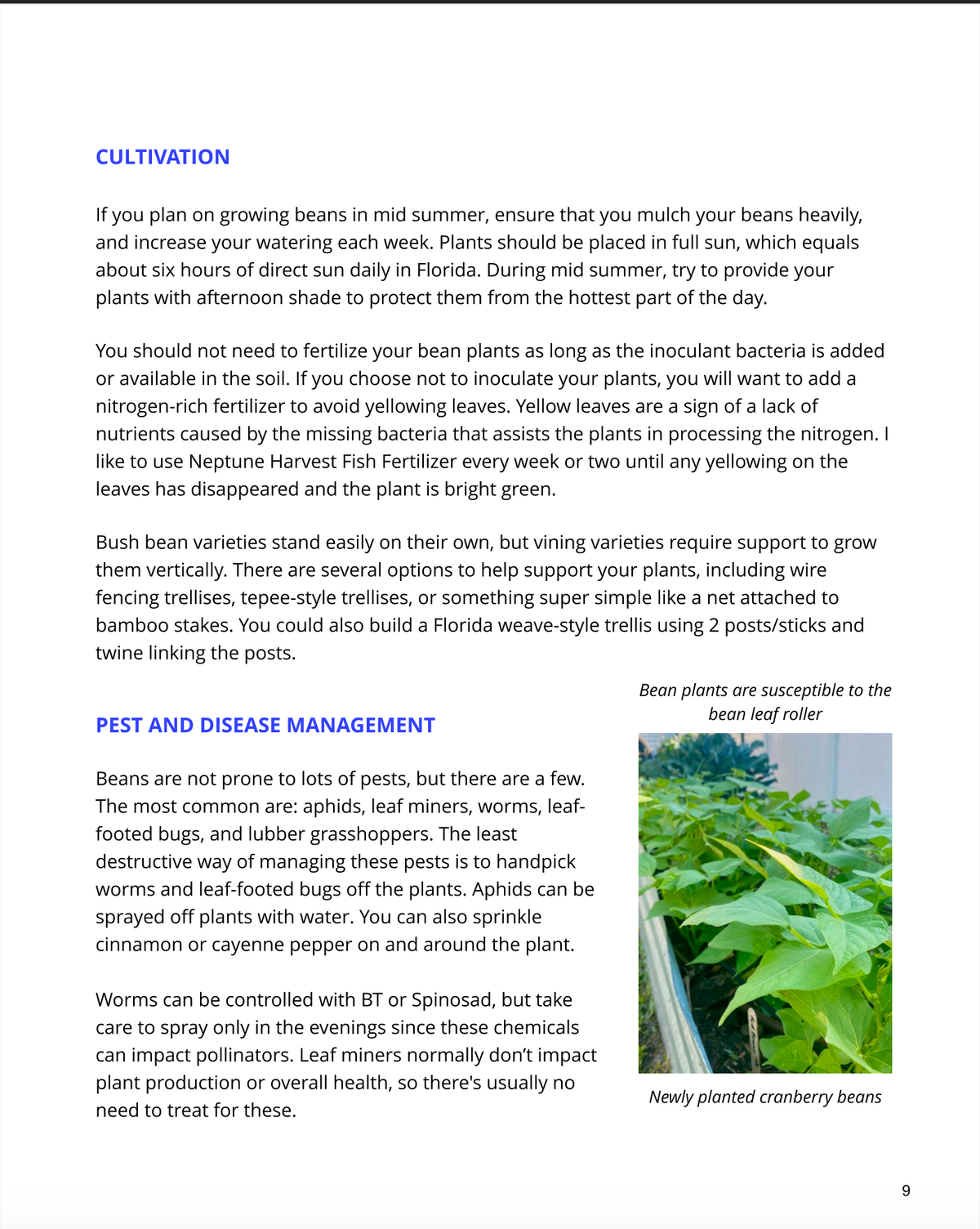 Homegrown Florida Gardening Guide - eBook