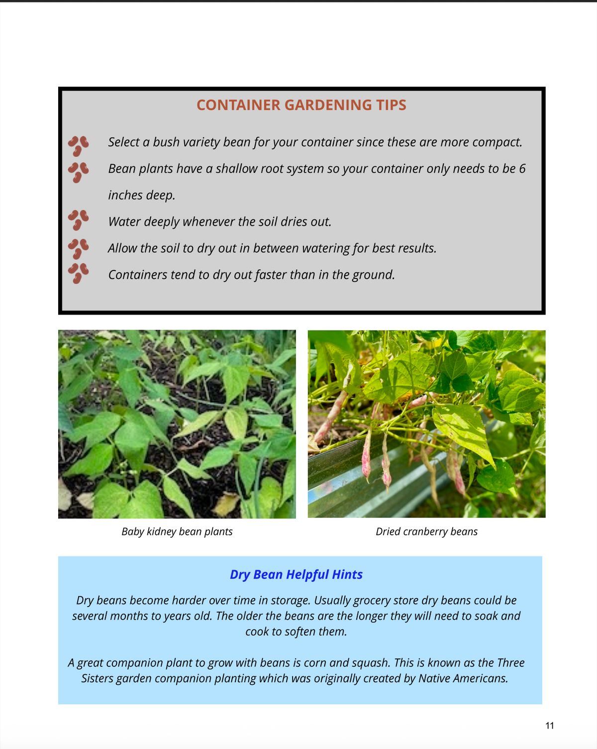 Homegrown Florida Gardening Guide - eBook
