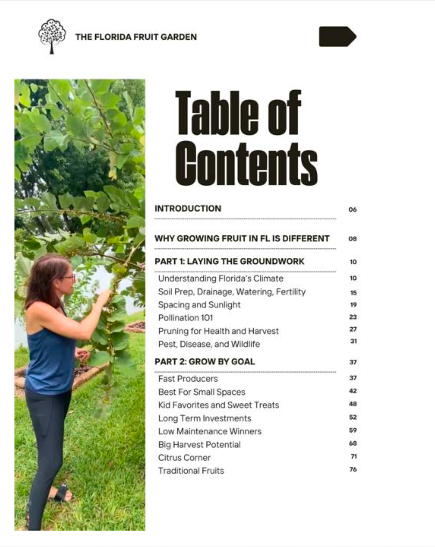 The Florida Fruit Garden - eBook