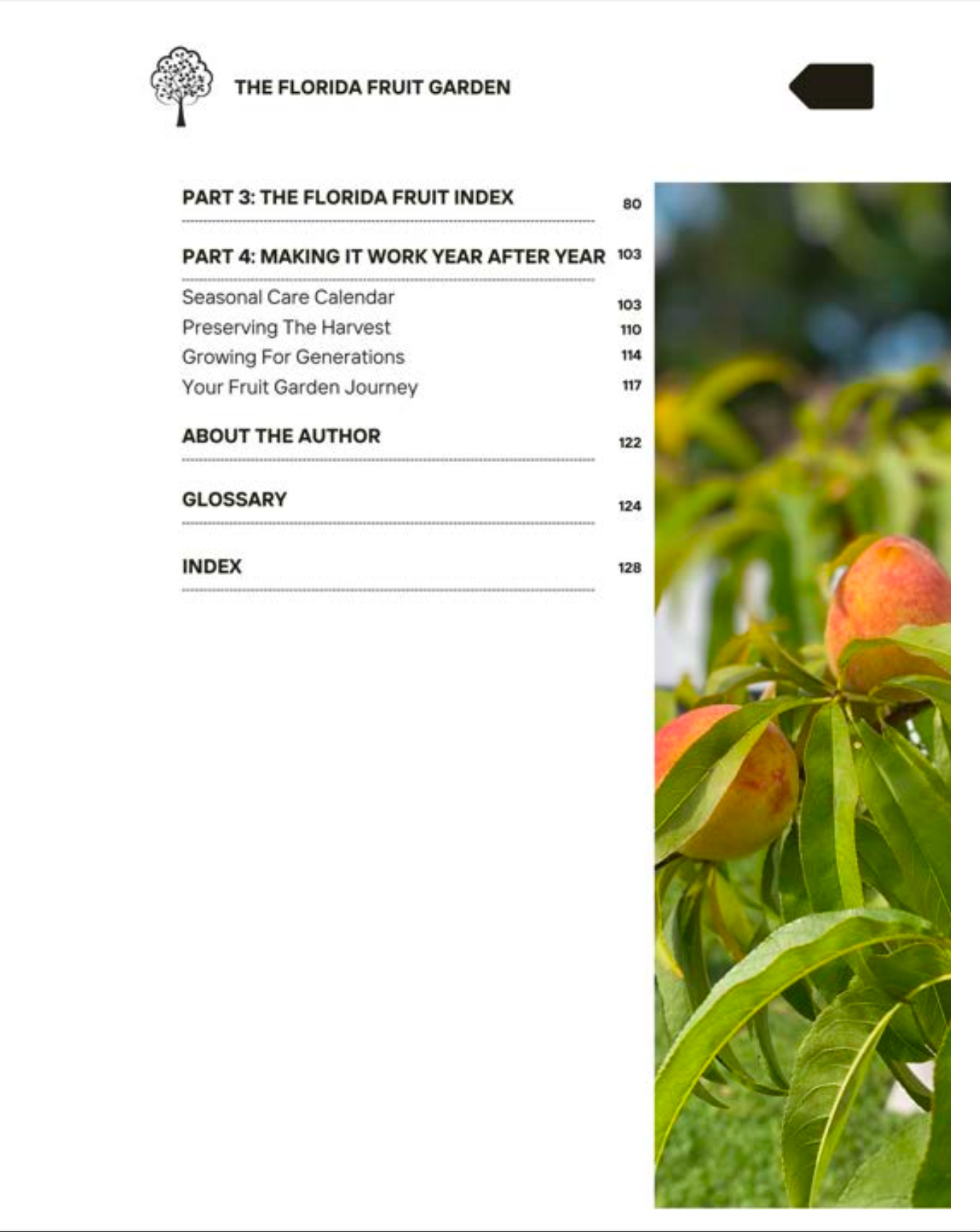The Florida Fruit Garden - eBook